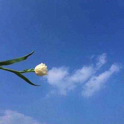 开心火锅店九游版下载