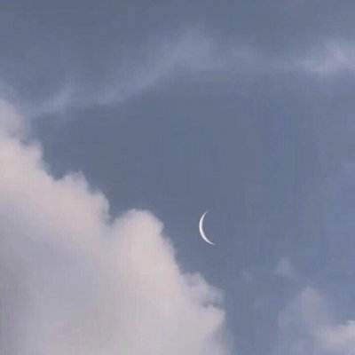 太极熊猫2九游客户端下载